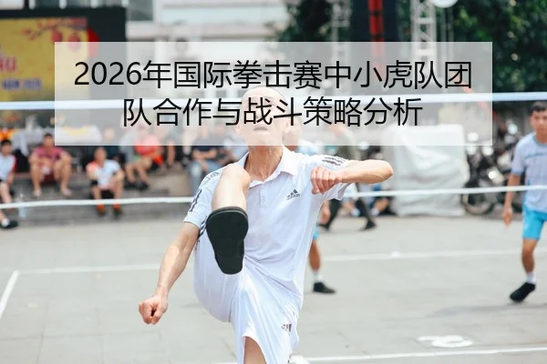 2026年国际拳击赛中小虎队团队合作与战斗策略分析