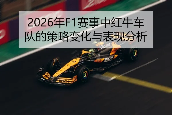 nian-sai-shi-zhong-hong-niu-che-dui-de-ce-lve-bian-hua-yu-biao-xian-fen-xi-2-451.jpg
