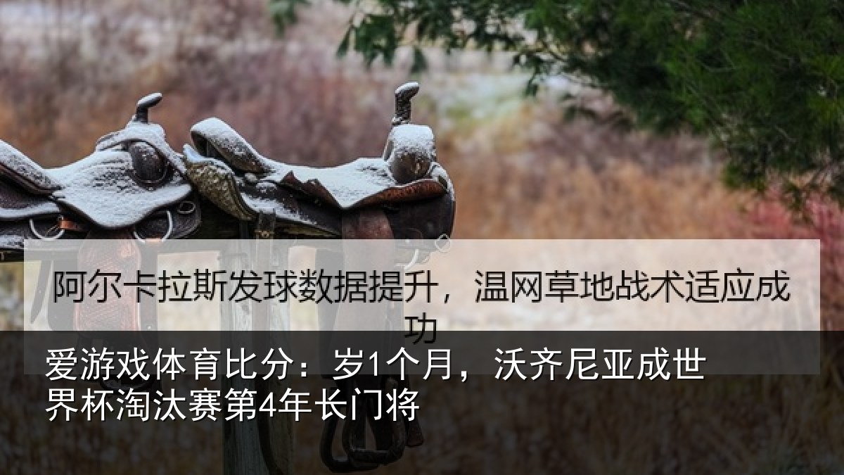 爱游戏体育比分:岁个相关情况杯淘汰赛第4年长门将
